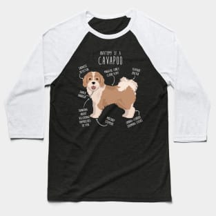 Parti Cavapoo Dog Anatomy Baseball T-Shirt